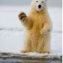 @leilanihaywood Good Luck to Alex.  
