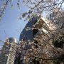 今朝の桜ちゃん☆彡