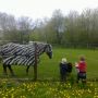 Zebra?