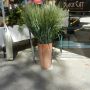 Downtown Walk Sept 8, 2012    :    6164