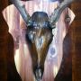 @BigTrent15 http://www.skmoore2.wix.com/moorebones Creating An Art Of Its Own SEMS BONES !