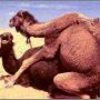 #funny #humor #pic of the #day #lol