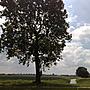 mooi hier