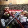 Drie knuffels op een rij.