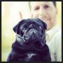 Goodmorning! #pug #pugs #puglife #puglove #pugstagram #petstagram #pugsofinstagram #blackpug #jj #dog #dogstagram #picoftheday #cute #photooftheday #instamood #instagood #ilovemydog #dogsofinstagram #