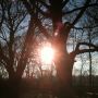 Beter kan de dag niet beginnen! Goedemorgen & Good Morning!