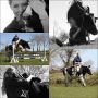@JustCallMeFrank Mooooooo!