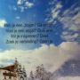 Heb je een droom? Ga ervoor. Voel je een angst? Duik erin. Wil je inspireren? Deel. Zoek je verbinding? Open je. www.hetgeheimvandeBerghut.com #inspiratieweek