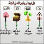 لن تخسر باذن ربي ابدا