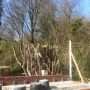 Het begin is er 2 #opderboe #renovatietoeves 