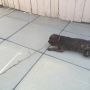 STICK!