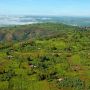 Escape To Africa