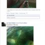 serendipity #fb