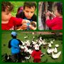 Que maravilla acercar a los niños a la naturaleza. Un domingo en el parque.