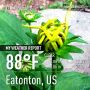 @ABlotz @gemswinc @elegantdame @deephil11 @MoreThymeBlog @weatherfran @simonscotland @WebGrrrrl Hot 'n Humid