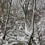 Clingy #snow