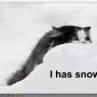 instant hit #sneeuw