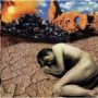 ♬ 'しあわせのランプ' - 玉置浩二 ♪