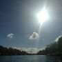 My garden #amstel #kayak
