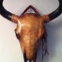 @RadioLunchbox http://www.skmoore2.wix.com/moorebones Creating An Art Of Its Own SEMS BONES !