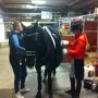 @edward_gal and Glock's Undercover ready to go! #worldcupfinals