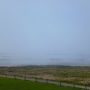 Ein merkwürdiger Bodennebel wabert von See her heran. #Dithmarschen #Speicherkoog #Nordsee 